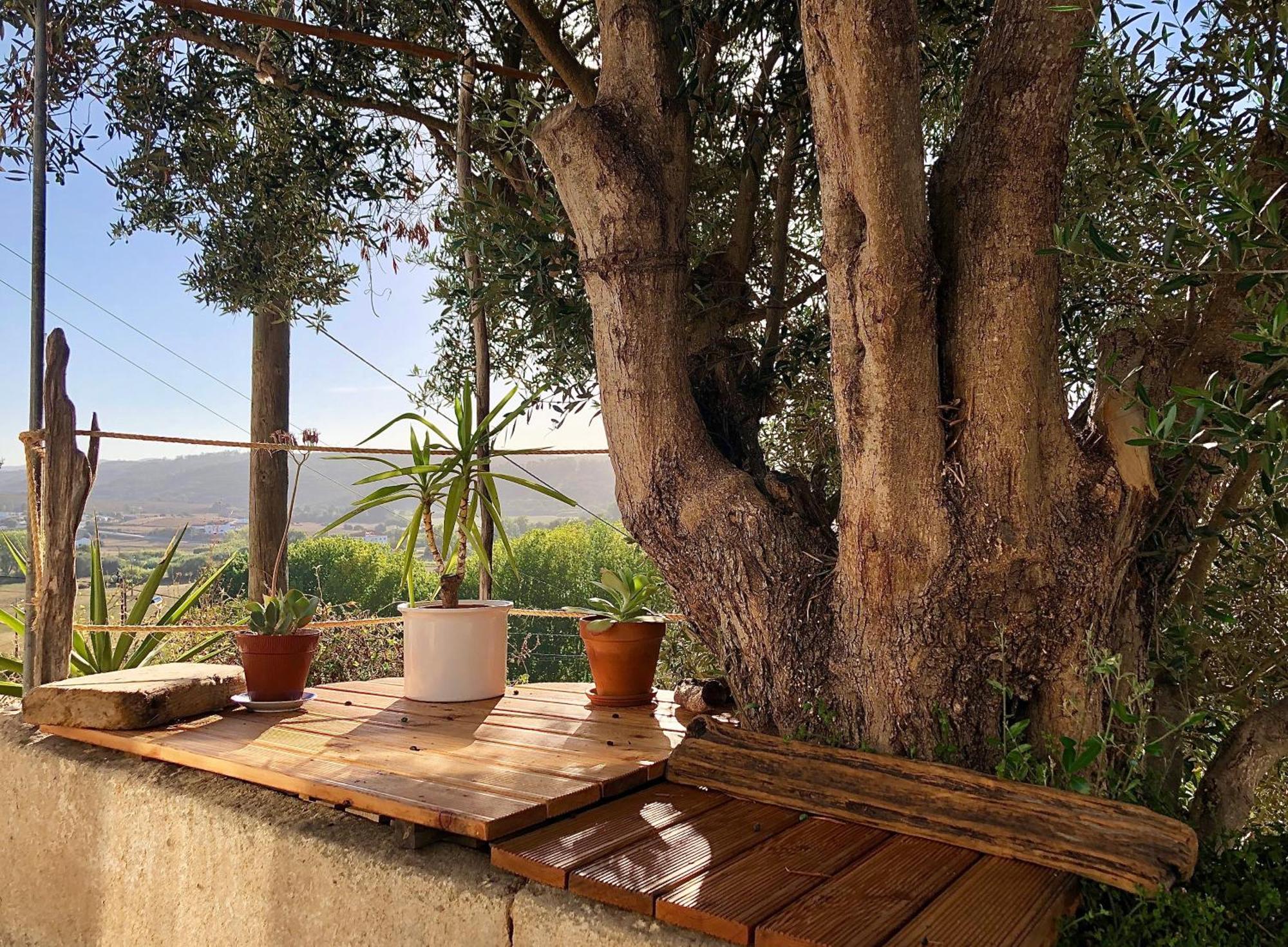 Casa Anneli - Relaxing Under The Olive Tree Villa Aljezur Exteriör bild